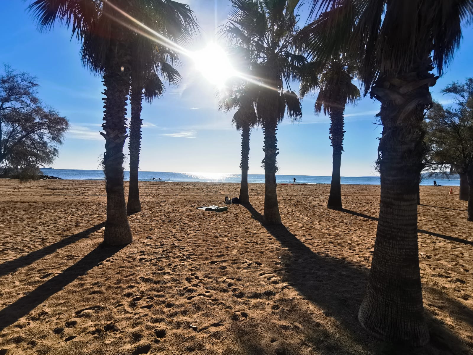 Plage bordée de palmiers dans le Var au petit matin